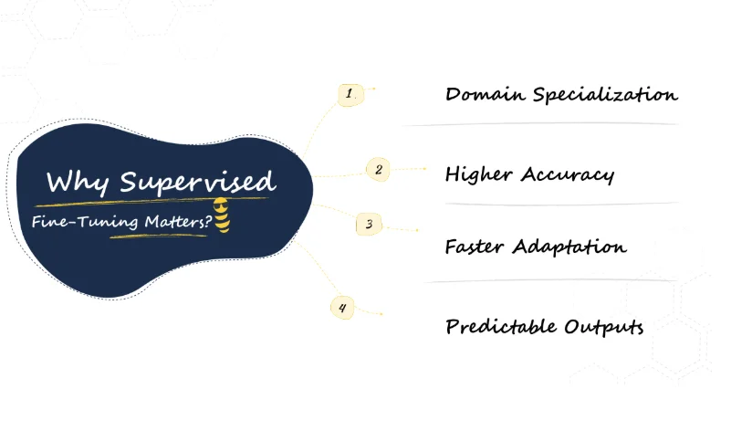 Supervised Fine-Tuning